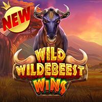 Wild Wildebeest Wins
